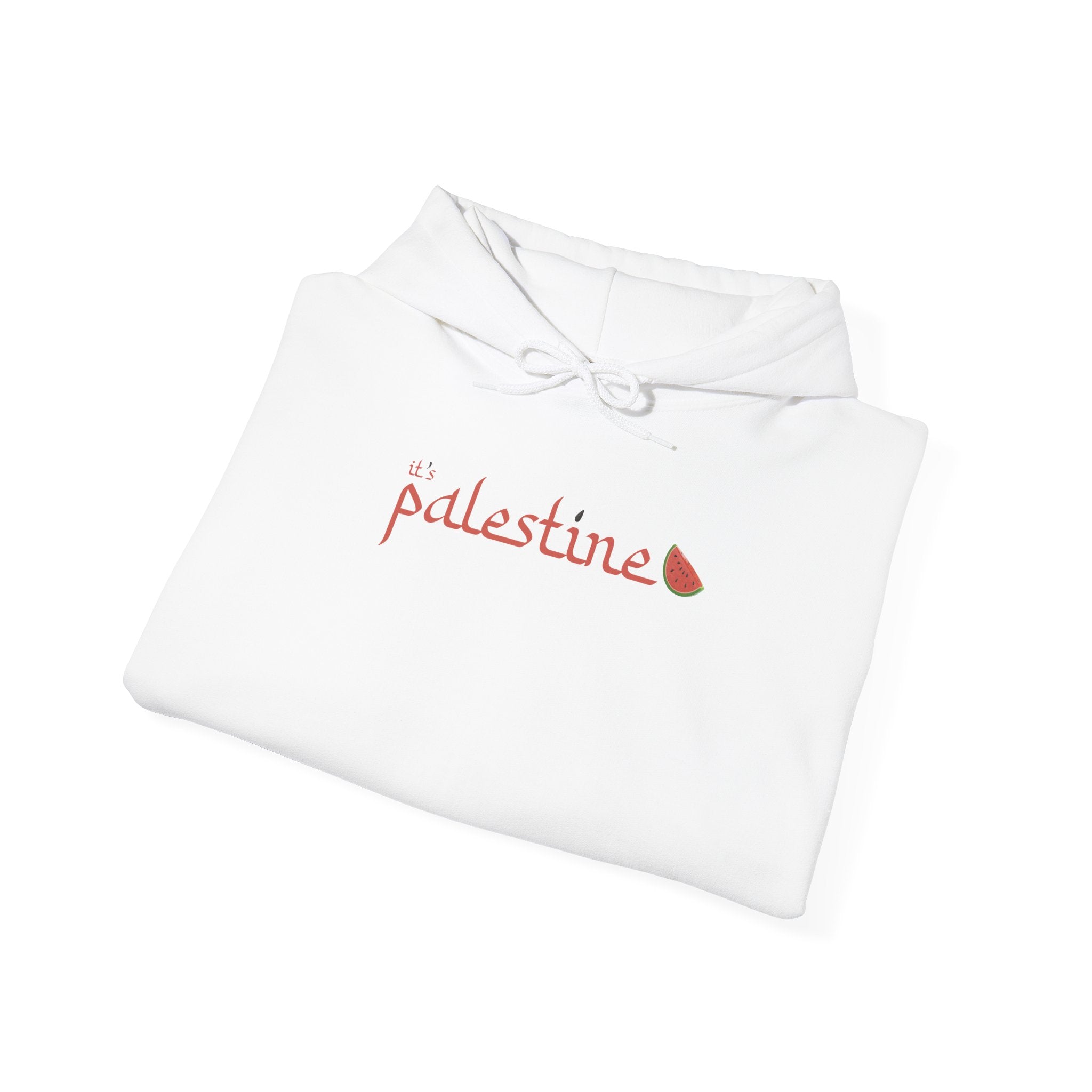 HRC Hoodie "It's Palestine" - White